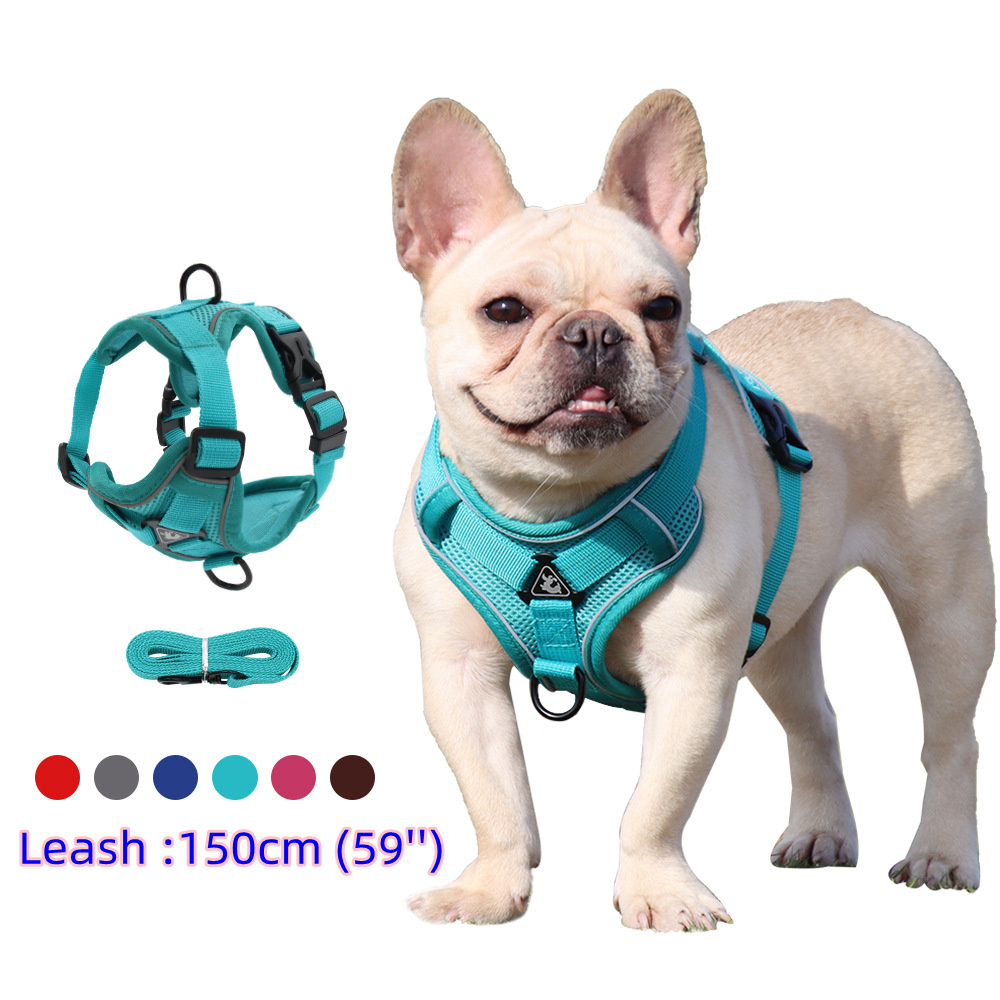 Harness and Leash Set Pet Acce - Off White Belt ulasan dan harga