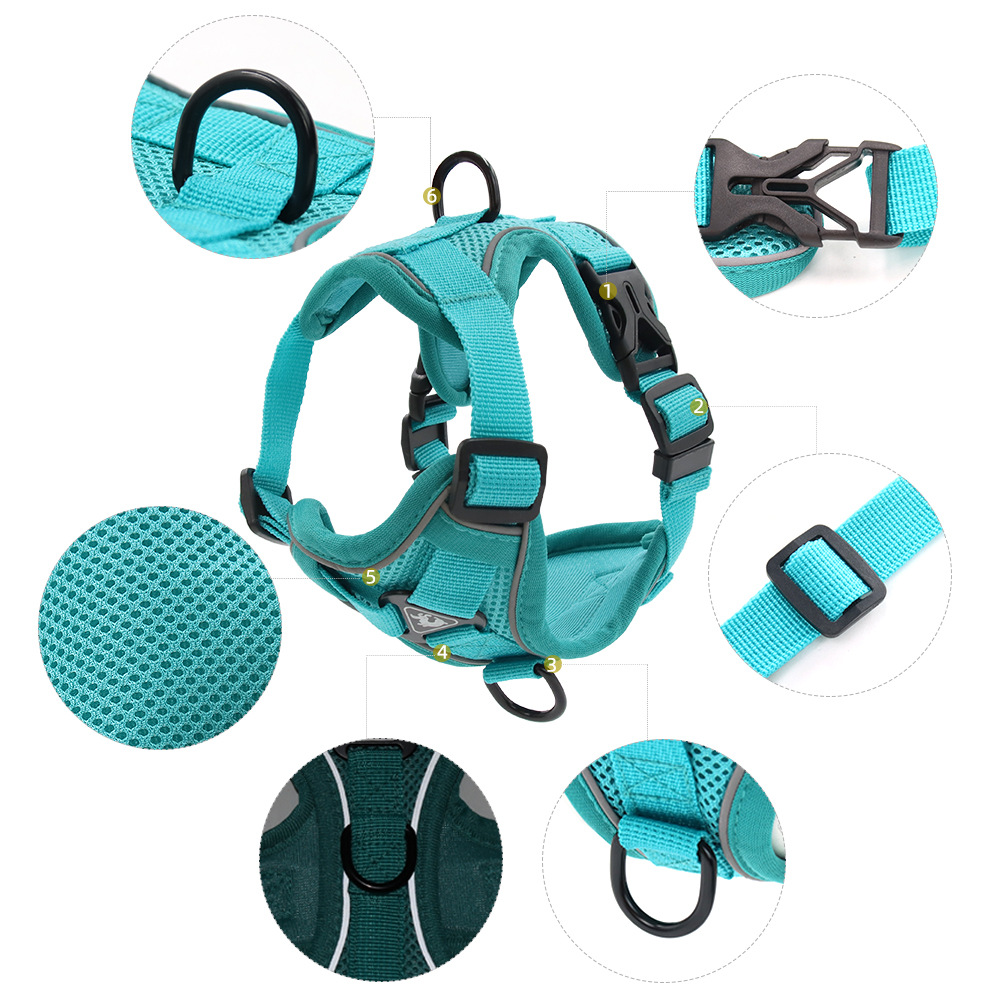 Harness and Leash Set Pet Acce - Off White Belt ulasan dan harga
