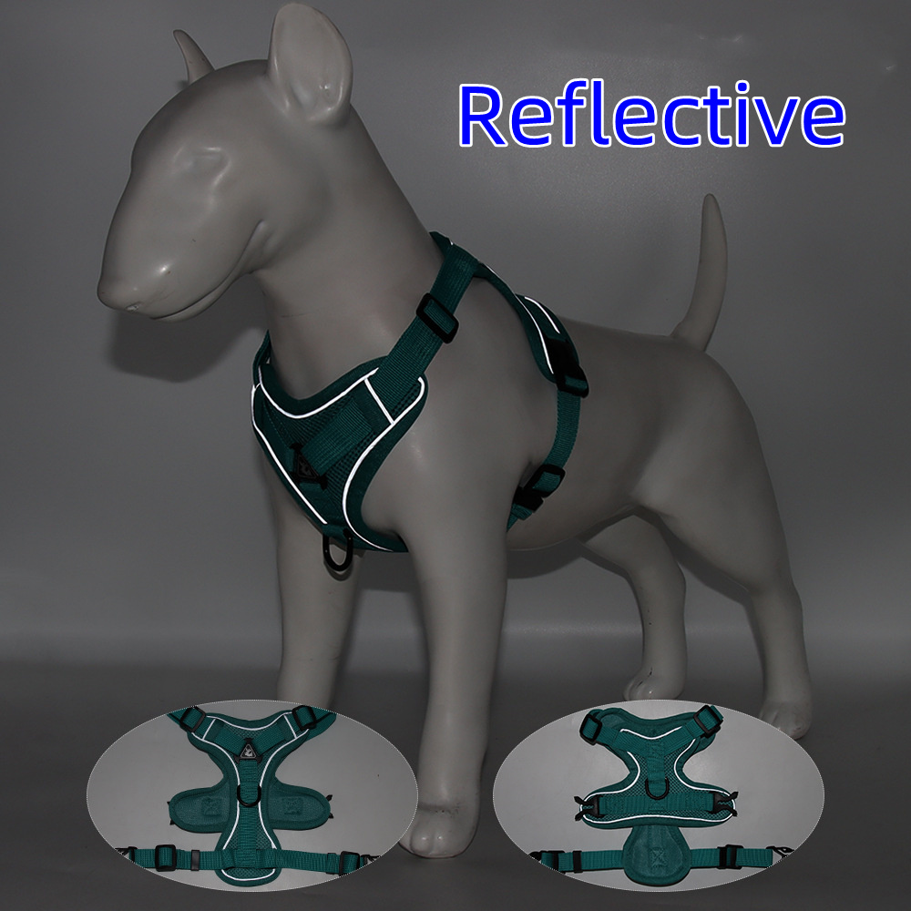 Harness and Leash Set Pet Acce - Off White Belt ulasan dan harga